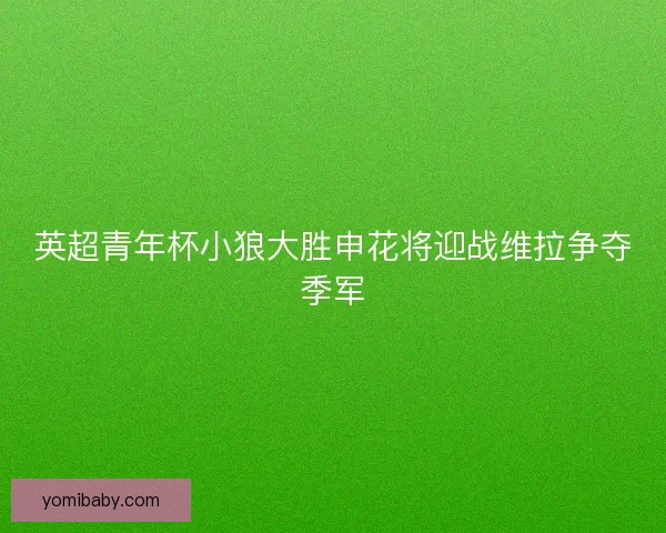英超青年杯小狼大胜申花将迎战维拉争夺季军